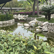 фото из отзыва ID 2733769