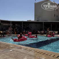 фото из отзыва ID 2733782