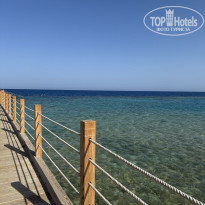 фото из отзыва ID 2733784