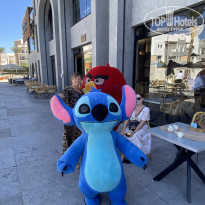 фото из отзыва ID 2733787