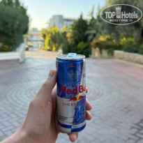 фото из отзыва ID 2733790