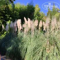 фото из отзыва ID 2733795