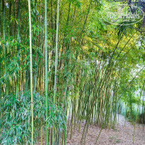 фото из отзыва ID 2733795