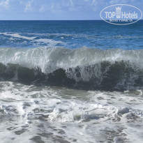 фото из отзыва ID 2733811