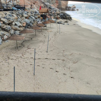 фото из отзыва ID 2733811