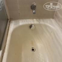 фото из отзыва ID 2733839