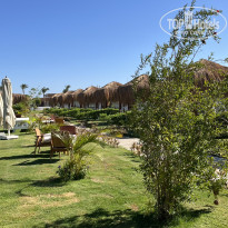 фото из отзыва ID 2733851