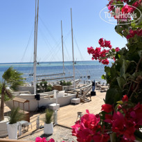 фото из отзыва ID 2733851