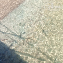 фото из отзыва ID 2733855