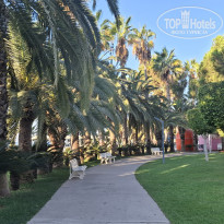 фото из отзыва ID 2733861