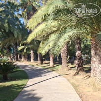 фото из отзыва ID 2733861