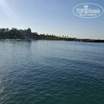 фото из отзыва ID 2733861