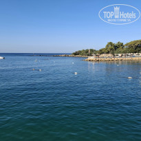 фото из отзыва ID 2733861