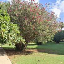 фото из отзыва ID 2733861