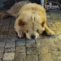 фото из отзыва ID 2733873