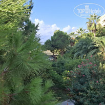 фото из отзыва ID 2733875