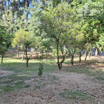 фото из отзыва ID 2733875