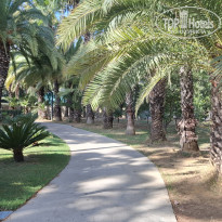 фото из отзыва ID 2733875