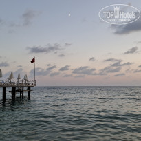 фото из отзыва ID 2733875