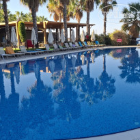 фото из отзыва ID 2733875