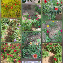 фото из отзыва ID 2733875