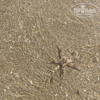 фото из отзыва ID 2733870