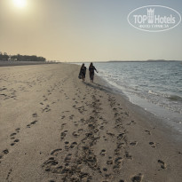 фото из отзыва ID 2733870