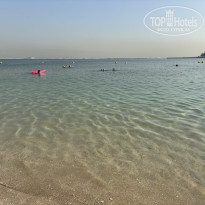 фото из отзыва ID 2733870