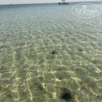 фото из отзыва ID 2733870