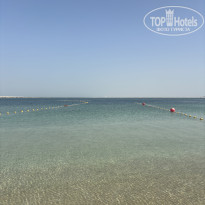 фото из отзыва ID 2733870