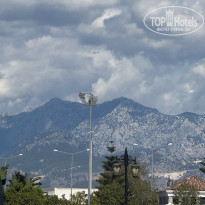 фото из отзыва ID 2733656