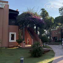 фото из отзыва ID 2733879