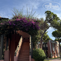 фото из отзыва ID 2733879