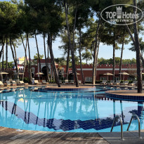 фото из отзыва ID 2733879