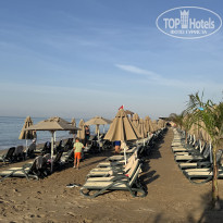 фото из отзыва ID 2733879