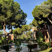 фото из отзыва ID 2733879