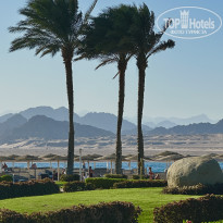 фото из отзыва ID 2733882