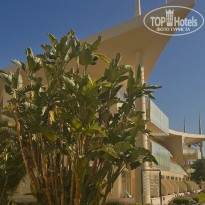 фото из отзыва ID 2733882