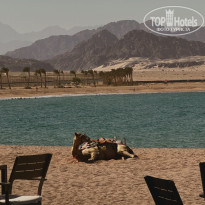 фото из отзыва ID 2733882