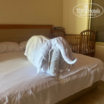 фото из отзыва ID 2733882