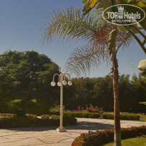 фото из отзыва ID 2733882