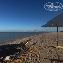 фото из отзыва ID 2733882