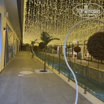 фото из отзыва ID 2733897