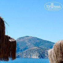 фото из отзыва ID 2731944