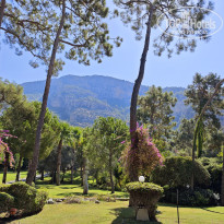 фото из отзыва ID 2731944