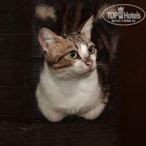 фото из отзыва ID 2731944