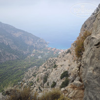 фото из отзыва ID 2731944