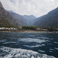 фото из отзыва ID 2731944