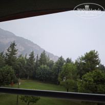 фото из отзыва ID 2731944