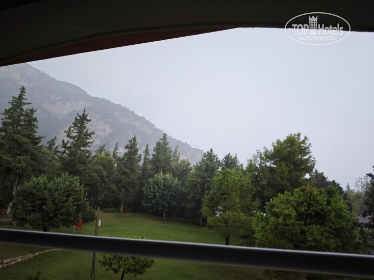 Liberty Lykia Adults Only